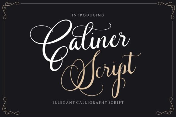 Caliner Script: A Delicate Typeface for Elegant Web Design