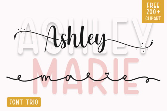 How Ashley Marie Transformed My Brand's Visual Identity