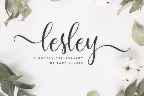 Lesley Script: A Font That Elevates Your Brand's Visual Story
