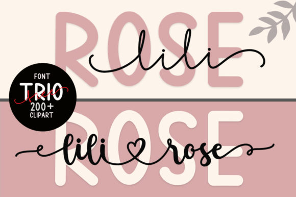 Lilirose: A Graceful Font for Branding and Design