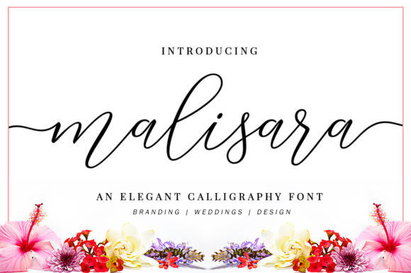 Malisara Script: A Romantic Font for Business Branding