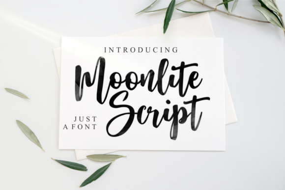 Moonlite Script: Elevating Brand Identity with a Trendy Font
